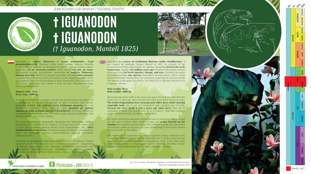 Iguanodon - etykieta gatunkowa