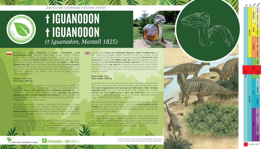 Iguanodon - opis