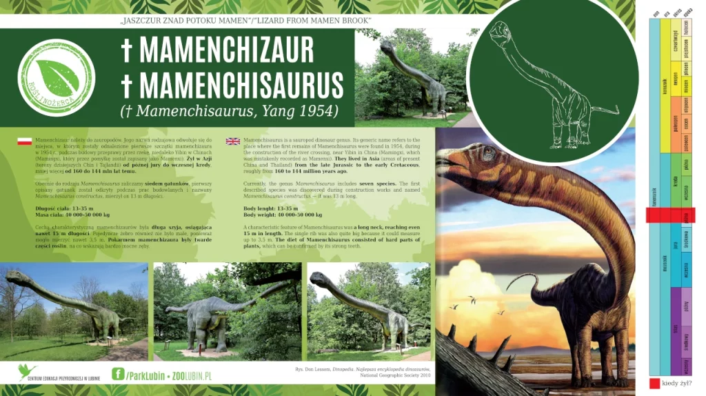 Mamenchizaur - opis