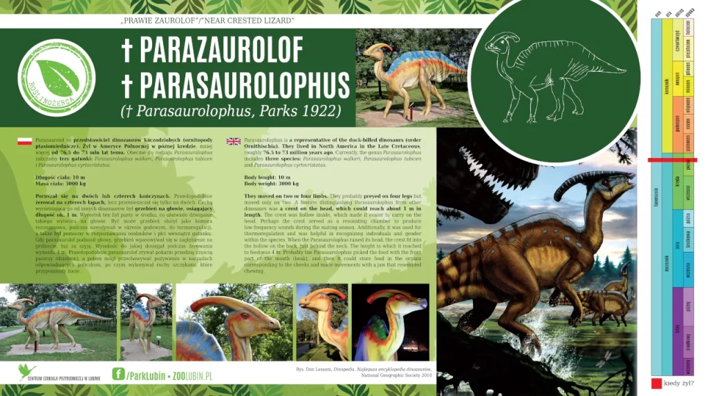 Parazaurolof - etykieta gatunkowa
