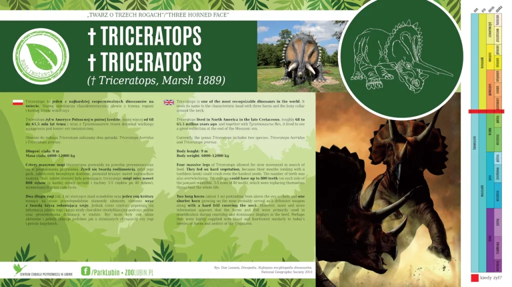 Triceratops - etykieta gatunkowa
