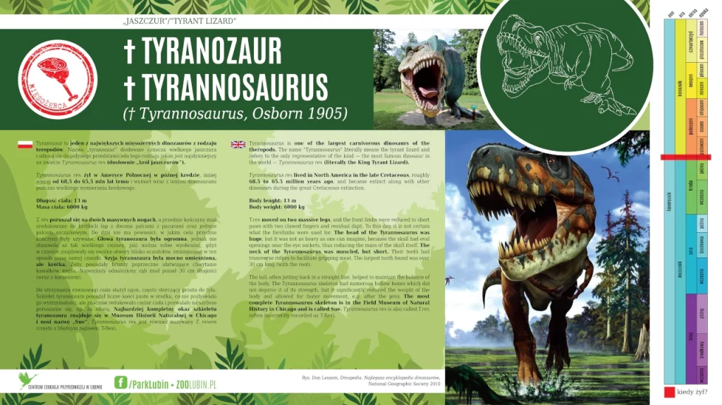 Tyranozaur - opis