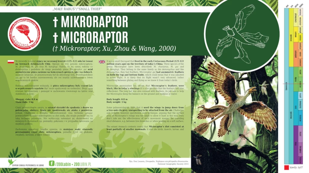 Mikroraptor - etykieta gatunkowa