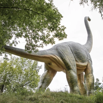 Brachiozaur - widok całego zwierzęcia