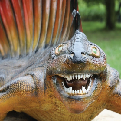 Dimetrodon - widok głowy zwierzęcia