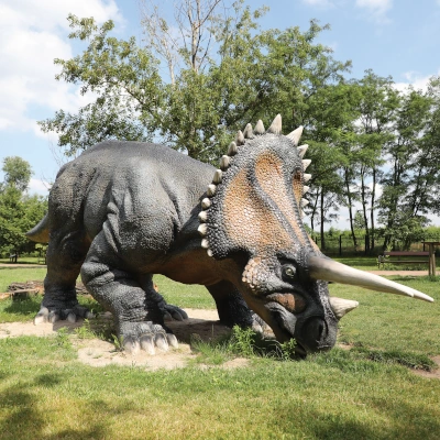 Triceratops - widok całego zwierzęcia